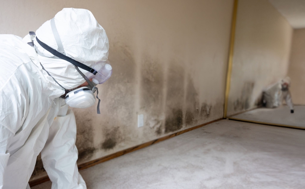 Safe mould removal and remediation in a commercial setting